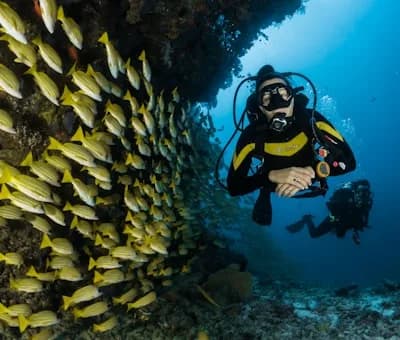 Underwater diver